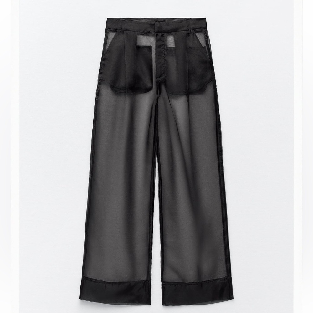 Zara Organza Pants